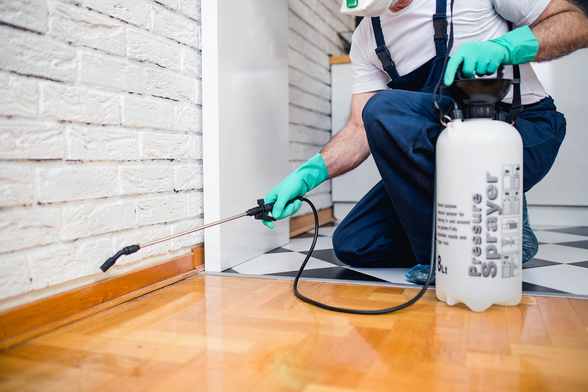 Pest Control Palm Beach Gardens FL Expert Guide