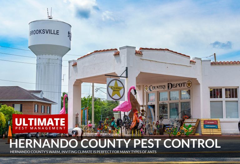 hernando county pest control